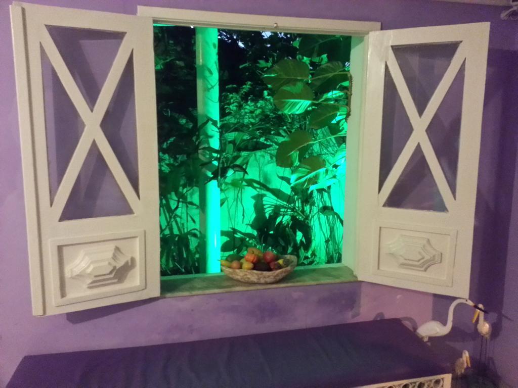 Hotel Pousada Papaya Verde サルバドール エクステリア 写真
