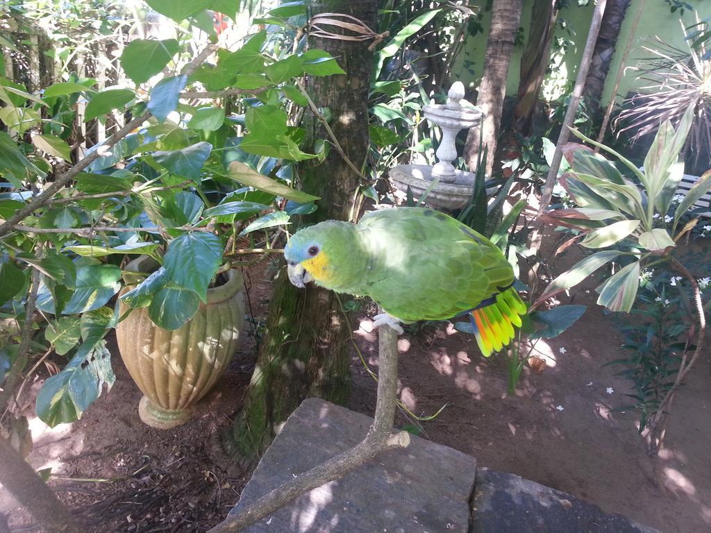 Hotel Pousada Papaya Verde サルバドール エクステリア 写真