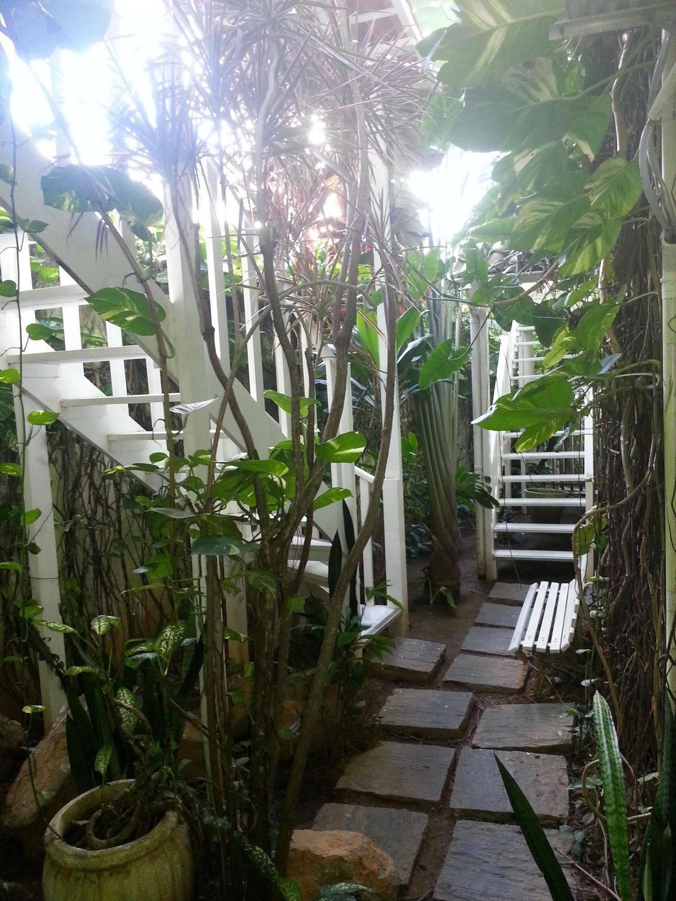 Hotel Pousada Papaya Verde サルバドール エクステリア 写真