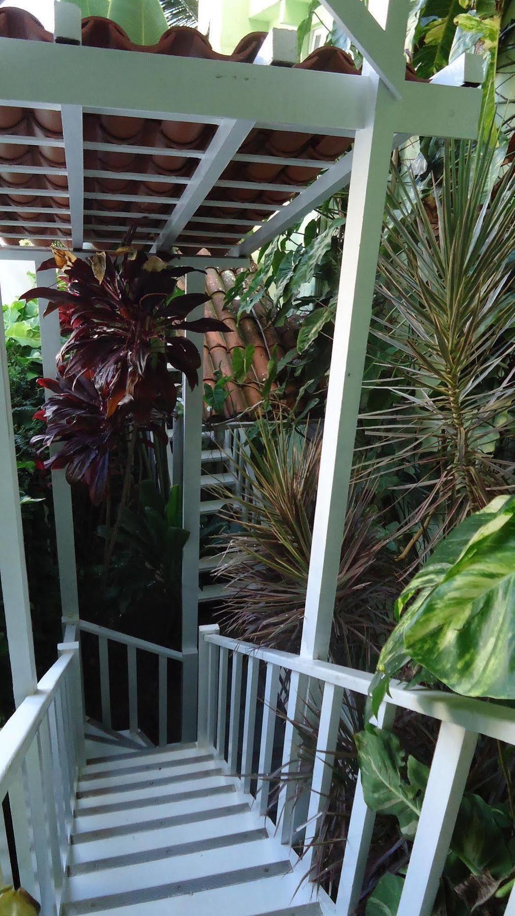 Hotel Pousada Papaya Verde サルバドール エクステリア 写真
